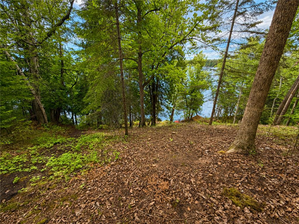 50573 Evergreenpoint Road Marcell Twp MN 56628 - Turtle Lake 7096048 image43