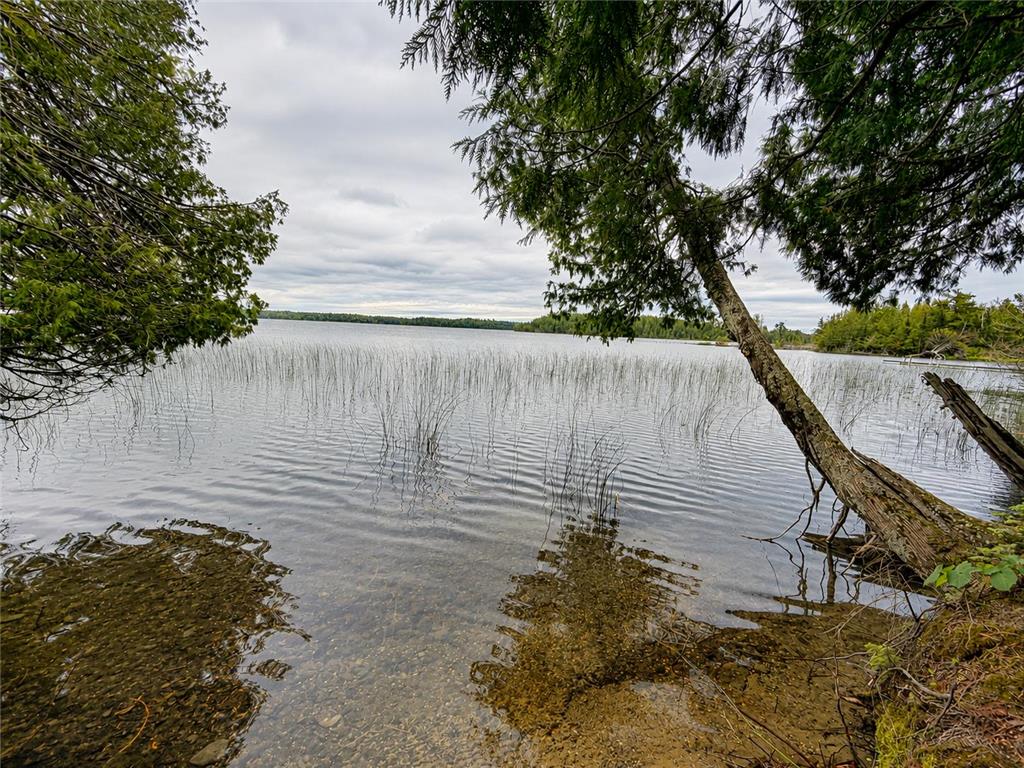 50573 Evergreenpoint Road Marcell Twp MN 56628 - Turtle Lake 7096048 image47