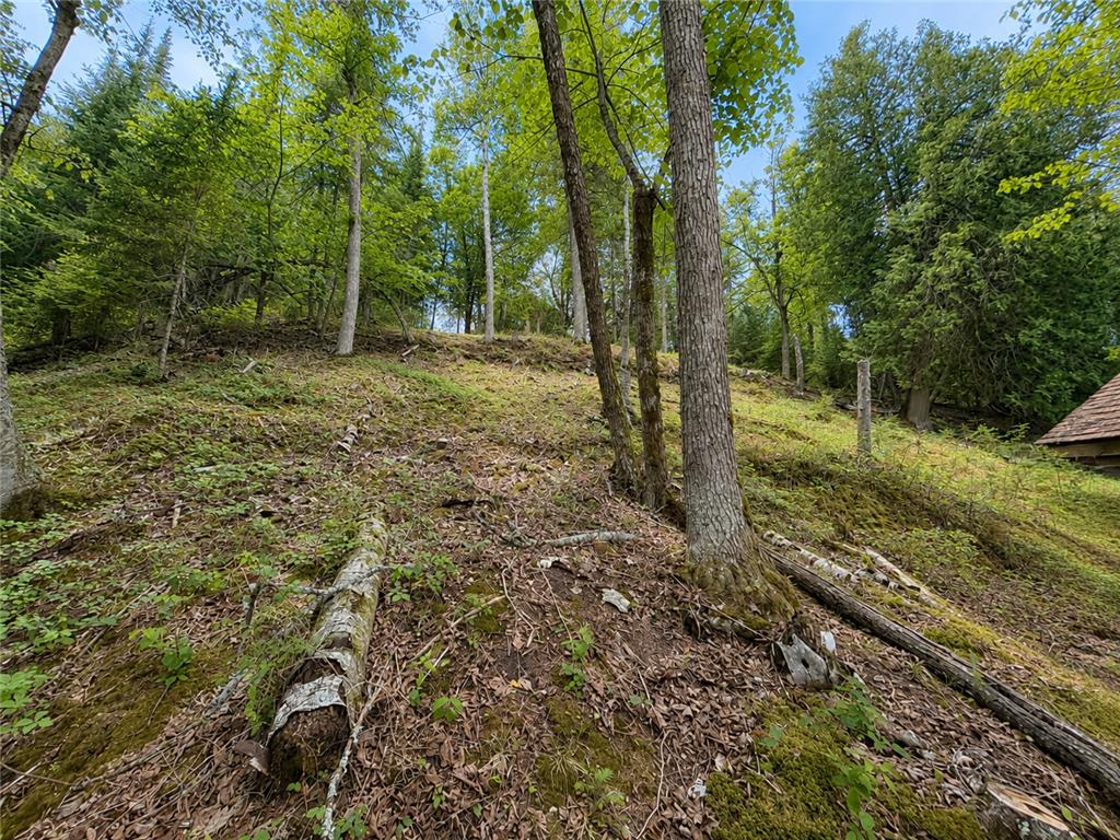 50573 Evergreenpoint Road Marcell Twp MN 56628 - Turtle Lake 7096048 image50