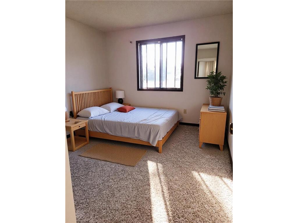 506 Carleton Avenue Morgan MN 56266 6640720 image11