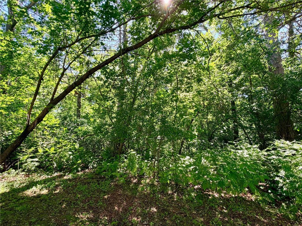 506 Central Avenue S Park Rapids MN 56470 7097927 image8