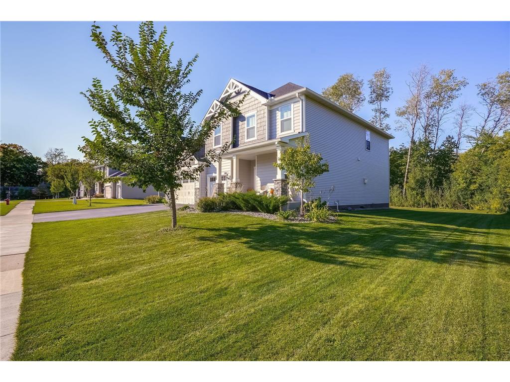 506 Twinflower Road Medina MN 55340 7055881 image41
