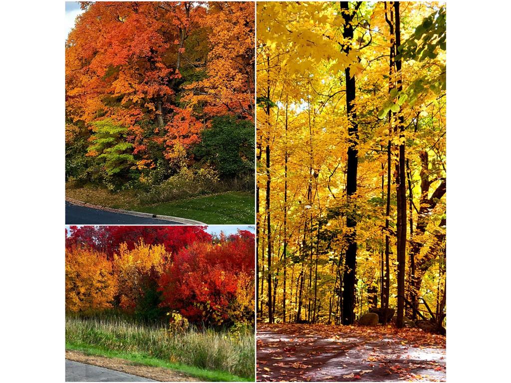 5065 Kerber Court Victoria MN 55386 6825419 image36