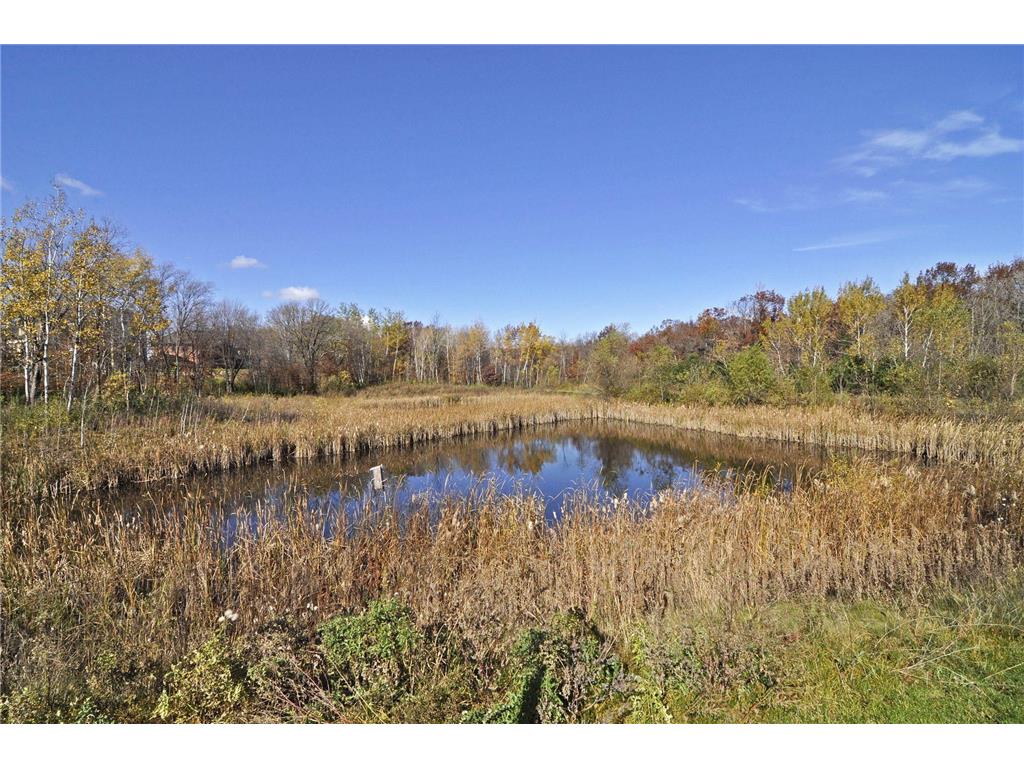 5066 Yuma Lane N Plymouth MN 55446 7031122 image64