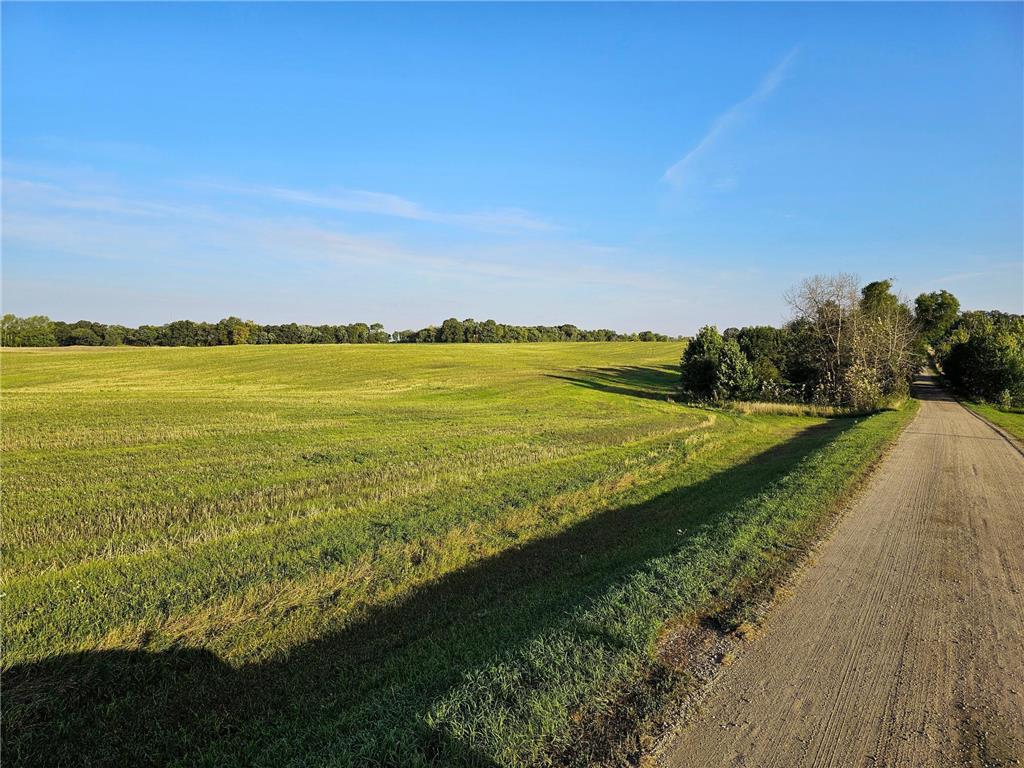 506XX 397th Ave Frazee MN 56544 - Silver 7023860 image2