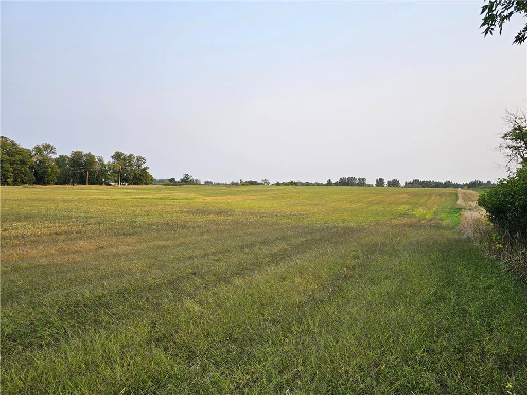 506XX 397th Ave Frazee MN 56544 - Silver 7023860 image4
