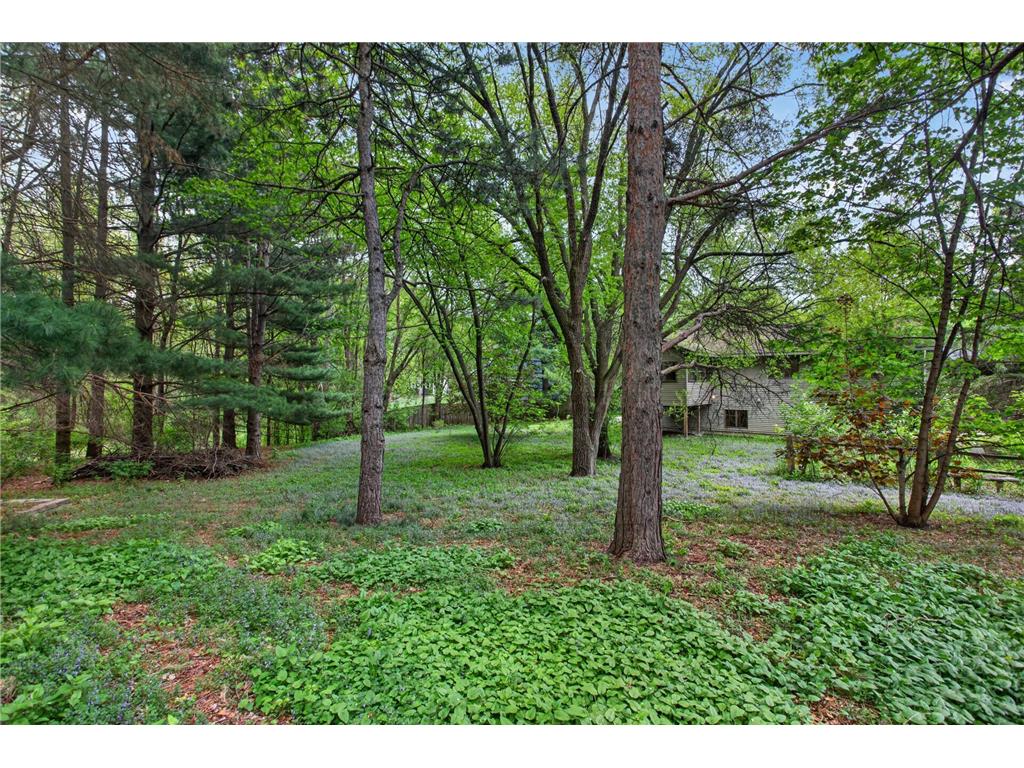 507 Bluebird Court Sartell MN 56377 7065015 image12