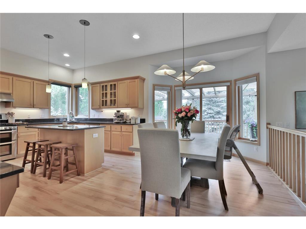 507 Owasso Hills Drive Roseville MN 55113 7067785 image10