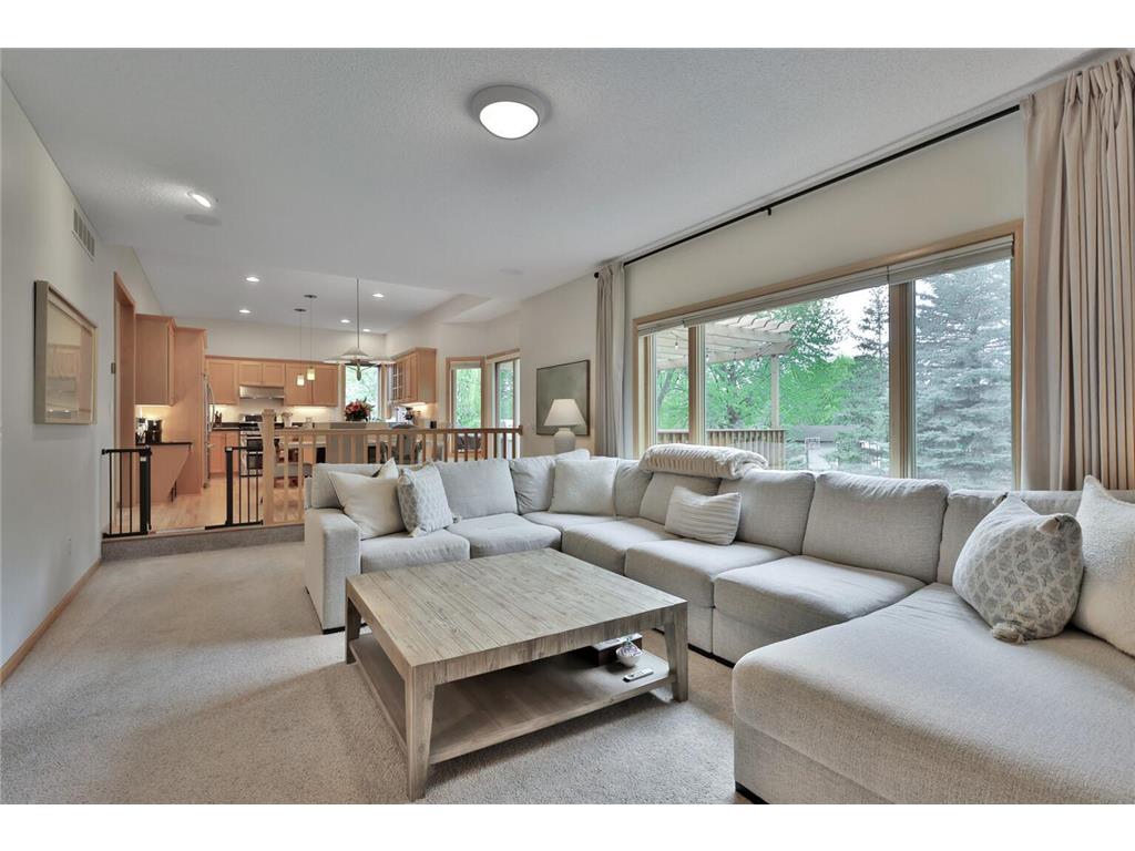 507 Owasso Hills Drive Roseville MN 55113 7067785 image14