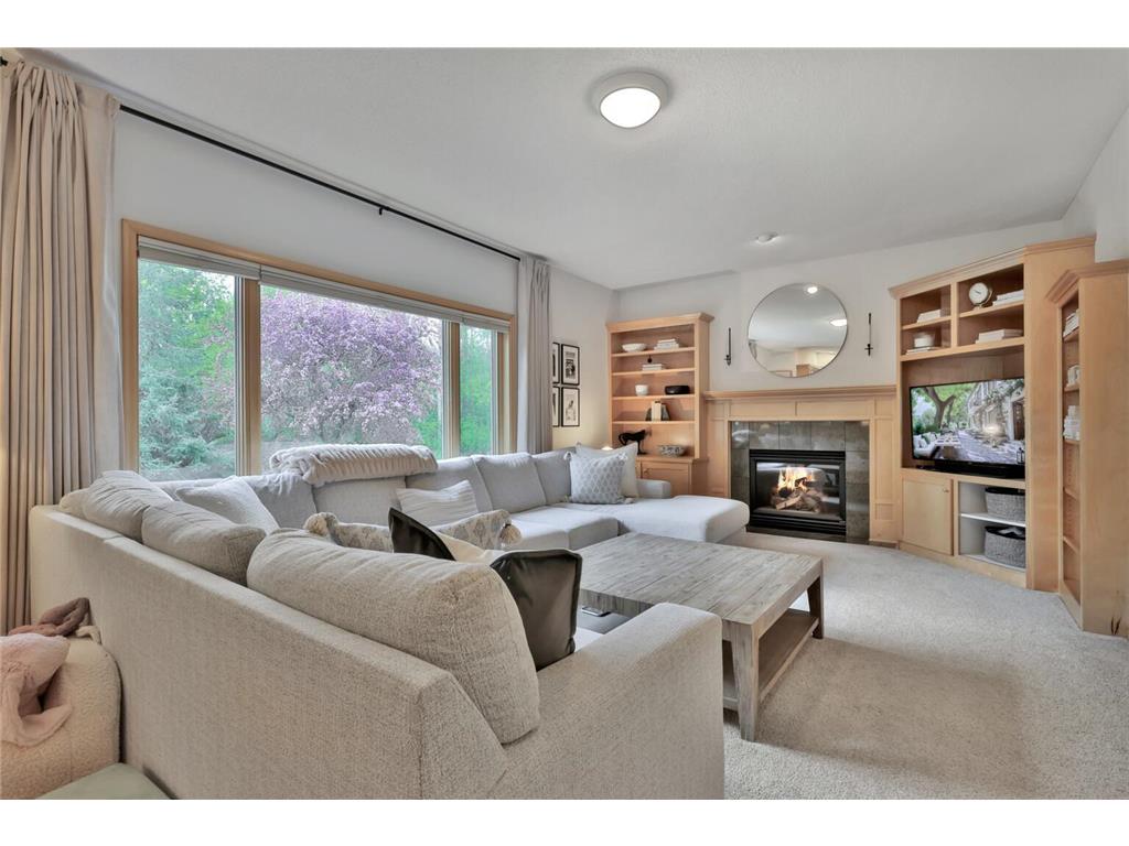 507 Owasso Hills Drive Roseville MN 55113 7067785 image16