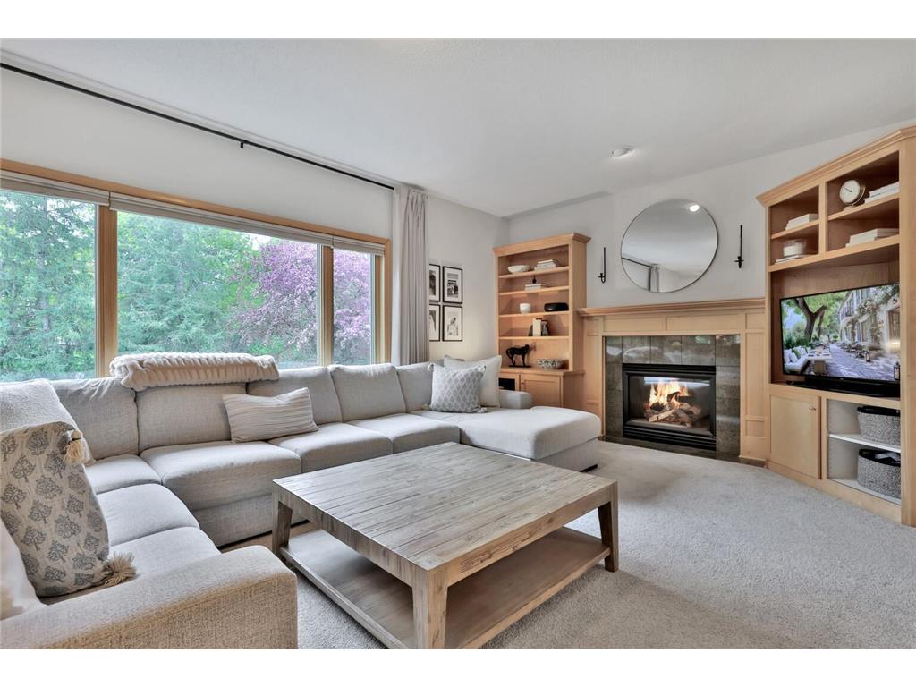 507 Owasso Hills Drive Roseville MN 55113 7067785 image17