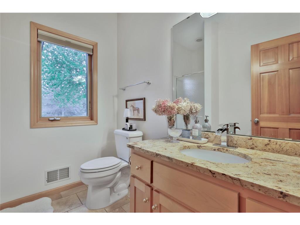 507 Owasso Hills Drive Roseville MN 55113 7067785 image21