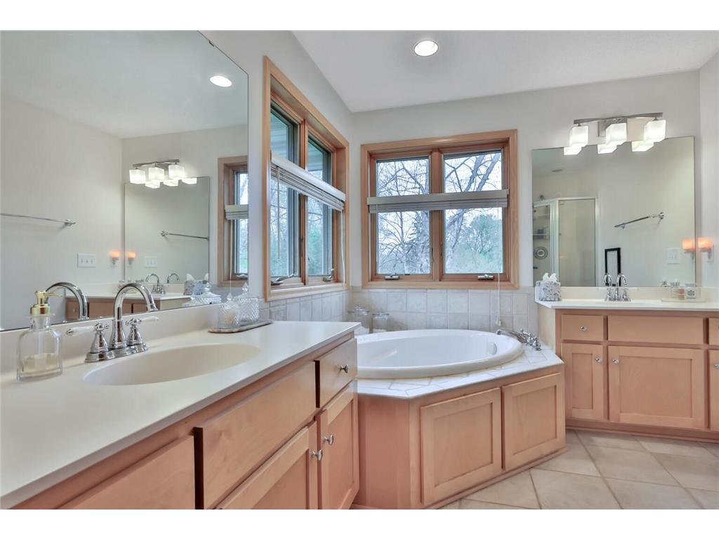 507 Owasso Hills Drive Roseville MN 55113 7067785 image31
