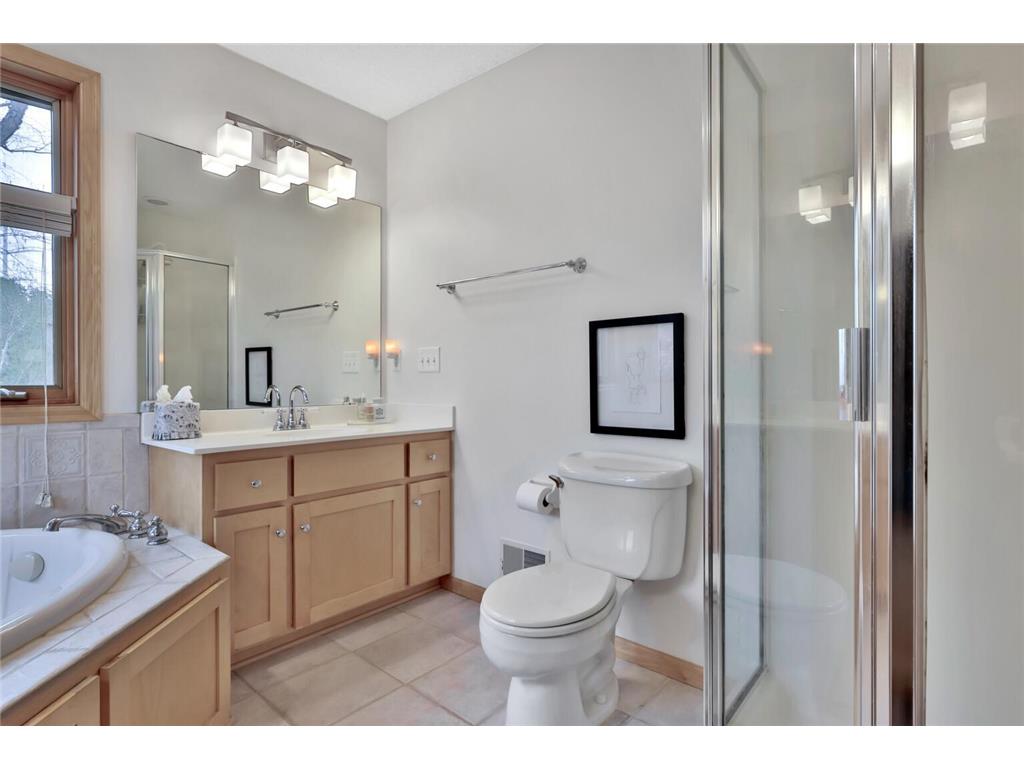 507 Owasso Hills Drive Roseville MN 55113 7067785 image32