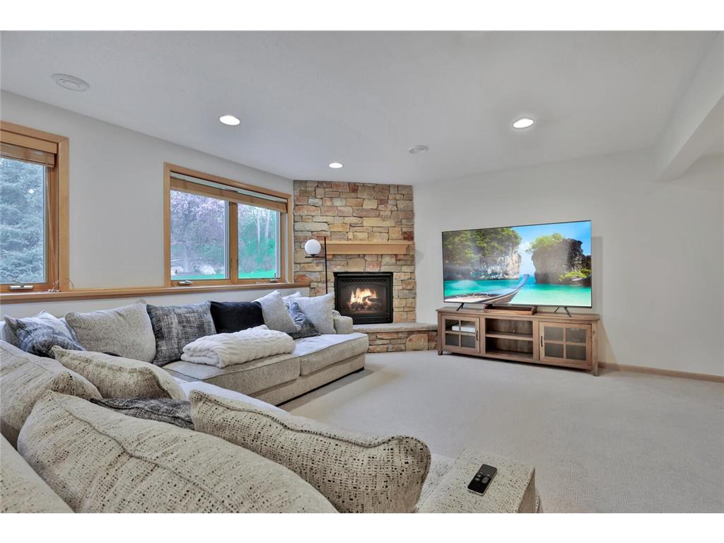 507 Owasso Hills Drive Roseville MN 55113 7067785 image34