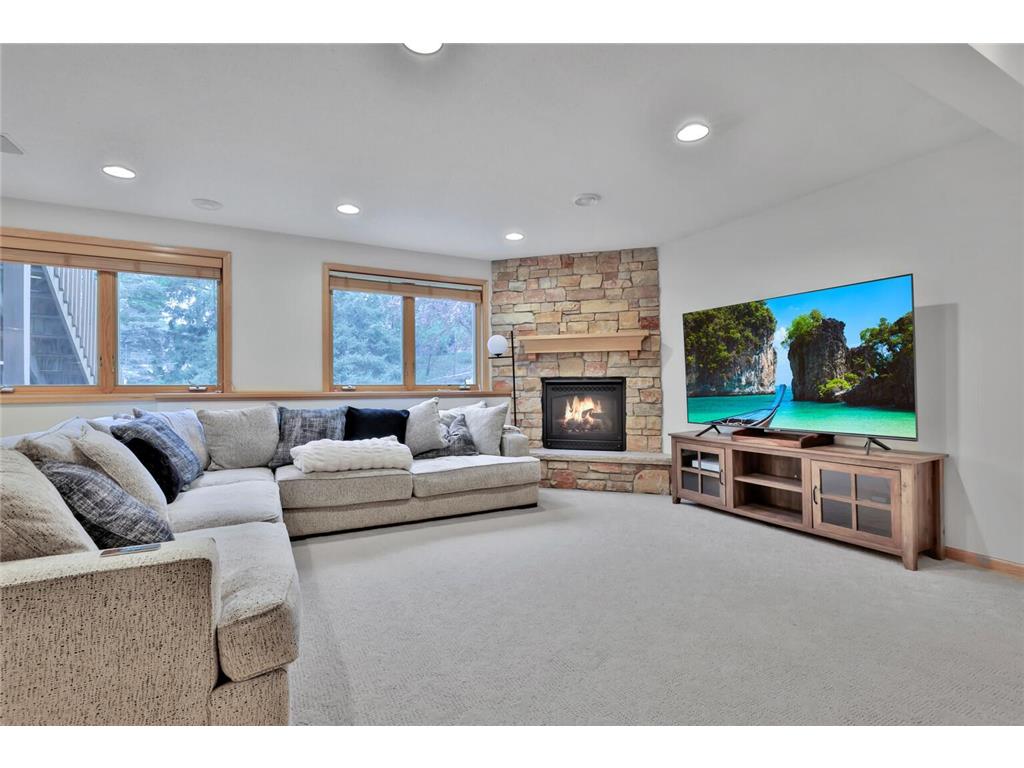 507 Owasso Hills Drive Roseville MN 55113 7067785 image35