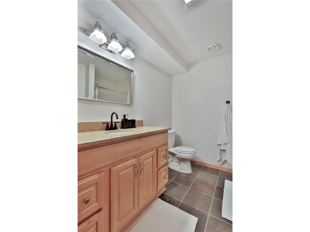 507 Owasso Hills Drive Roseville MN 55113 7067785 image41