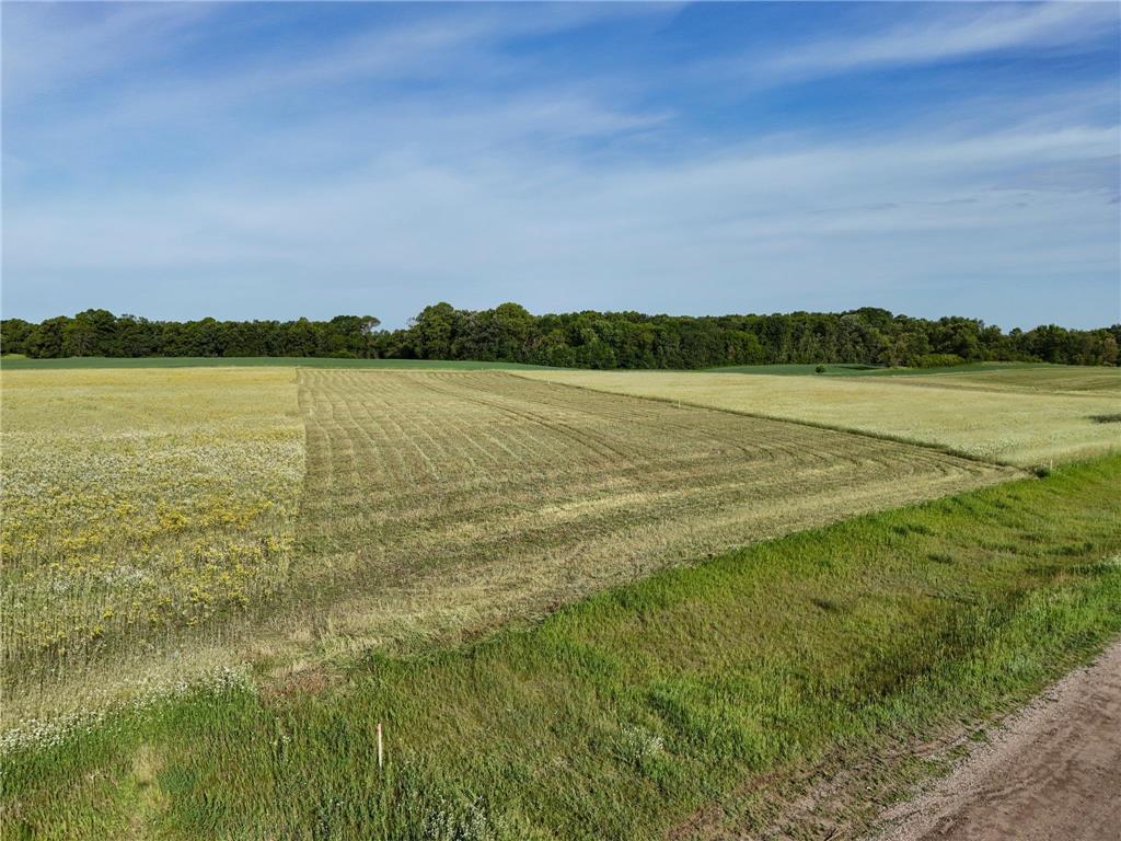 507XX 397th Ave [D2] Frazee MN 56544 - Silver 7034597 image5
