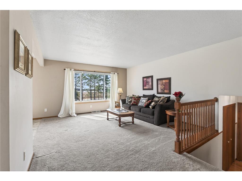 508 195th Lane NW Oak Grove MN 55011 - Swan Lake 7040679 image3