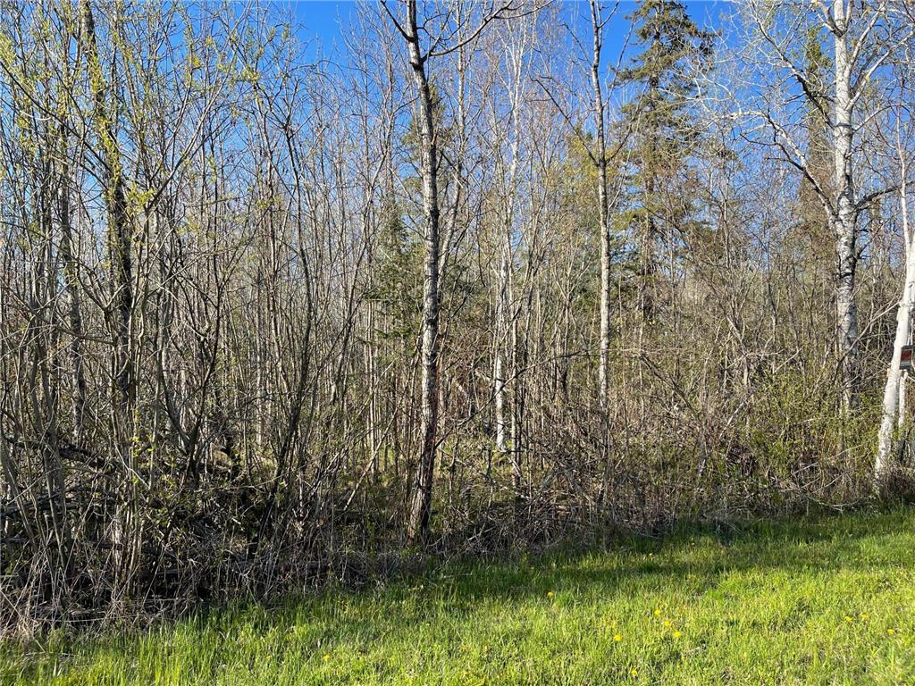 508 Cedar Valley RD Cedar Valley Twp MN 55736 6824899 image10