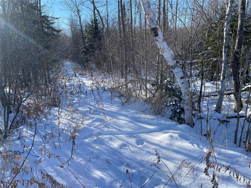 508 Cedar Valley RD Cedar Valley Twp MN 55736 6824899 image6