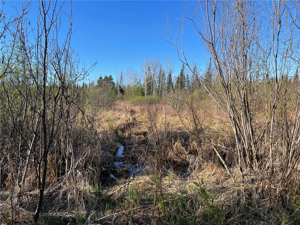 508 Cedar Valley RD Cedar Valley Twp MN 55736 6824899 image8