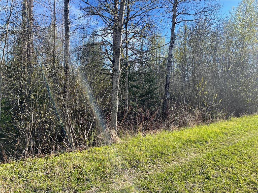 508 Cedar Valley RD Cedar Valley Twp MN 55736 6824899 image9