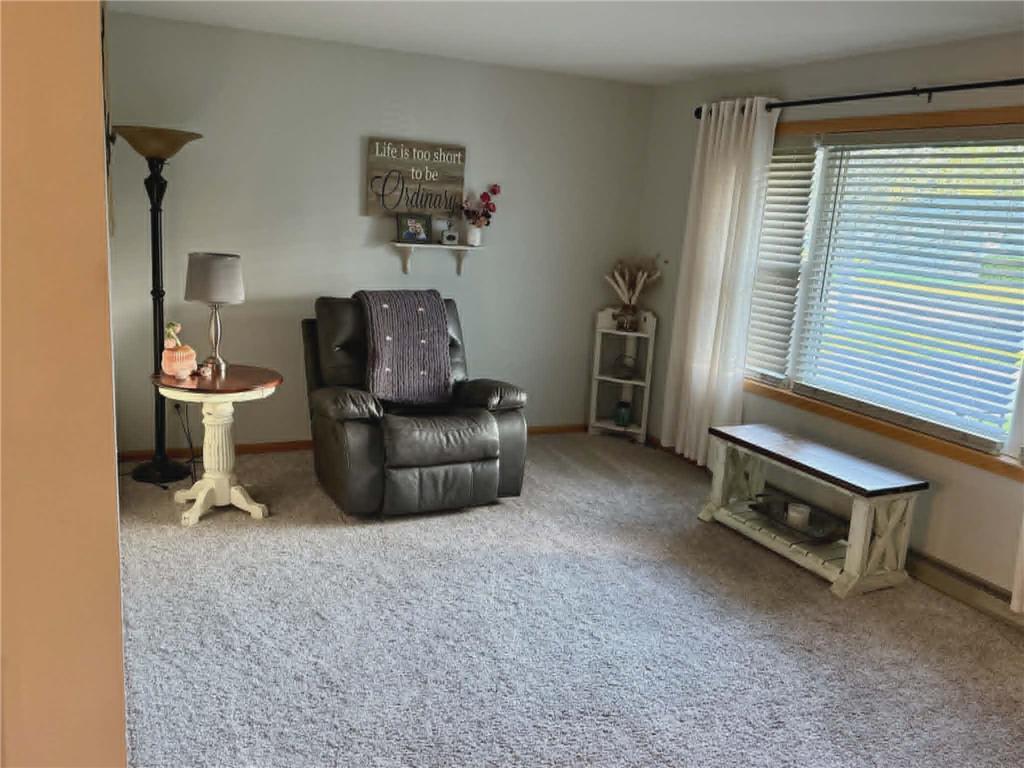 508 Merriam Avenue S Thief River Falls MN 56701 7074621 image10