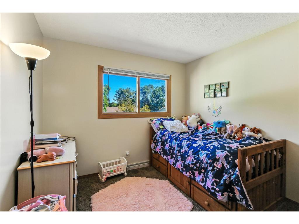 508 Shadyside Circle Hopkins MN 55343 7006664 image32