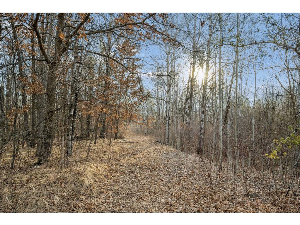 50828 Tradesman Road Villard Twp MN 56479 - Crow Wing River 7012867 image1