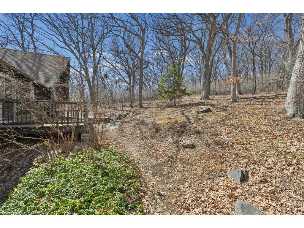5088 Wild Canyon Drive Woodbury MN 55129 7032516 image26