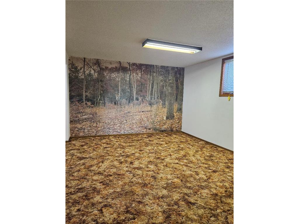 509 1st Street Bellingham MN 56212 6787744 image25