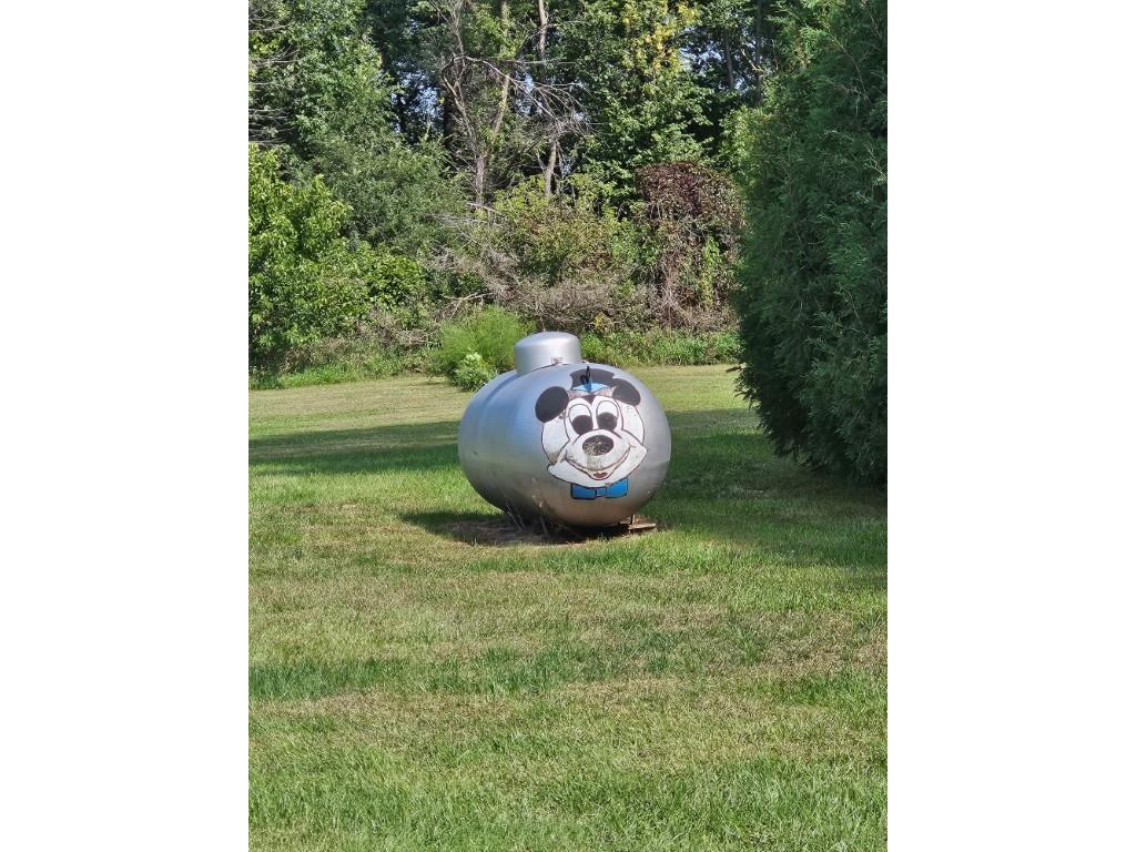 509 1st Street Bellingham MN 56212 6787744 image39