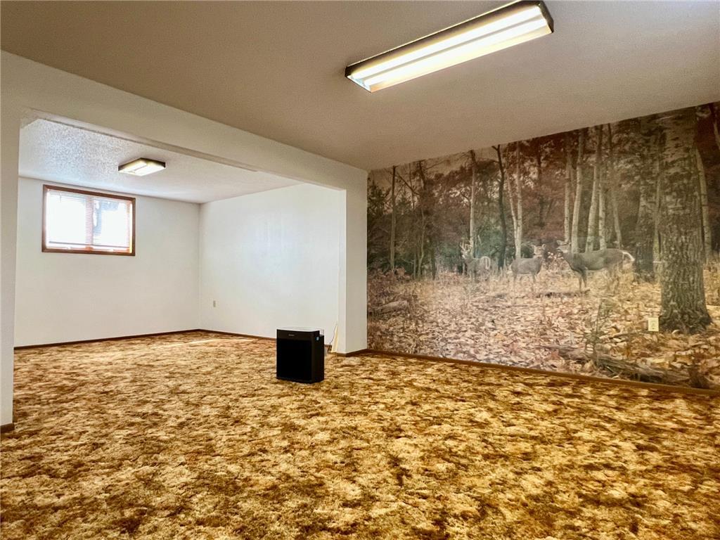 509 1st Street Bellingham MN 56212 7045916 image17