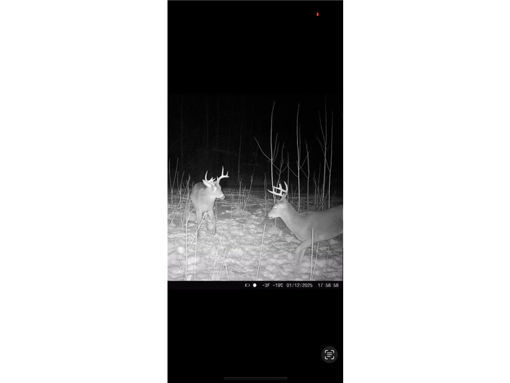 50973 243rd Avenue Staples Twp MN 56479 7104679 image7