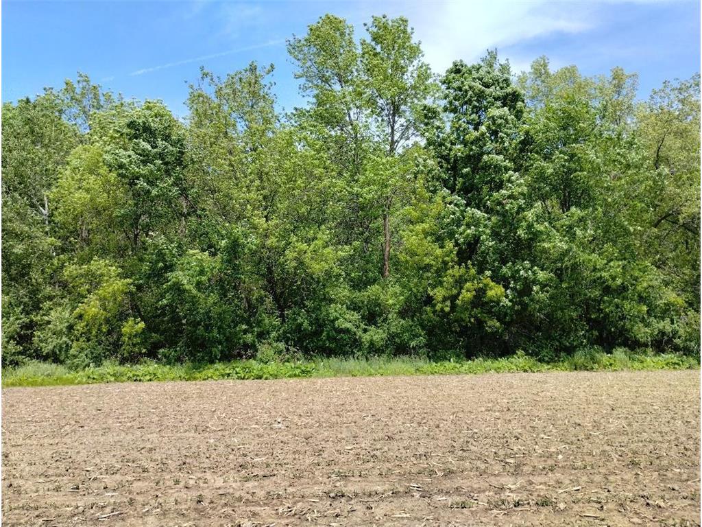 50XXX Heather Lane Rush City MN 55069 6713338 image1