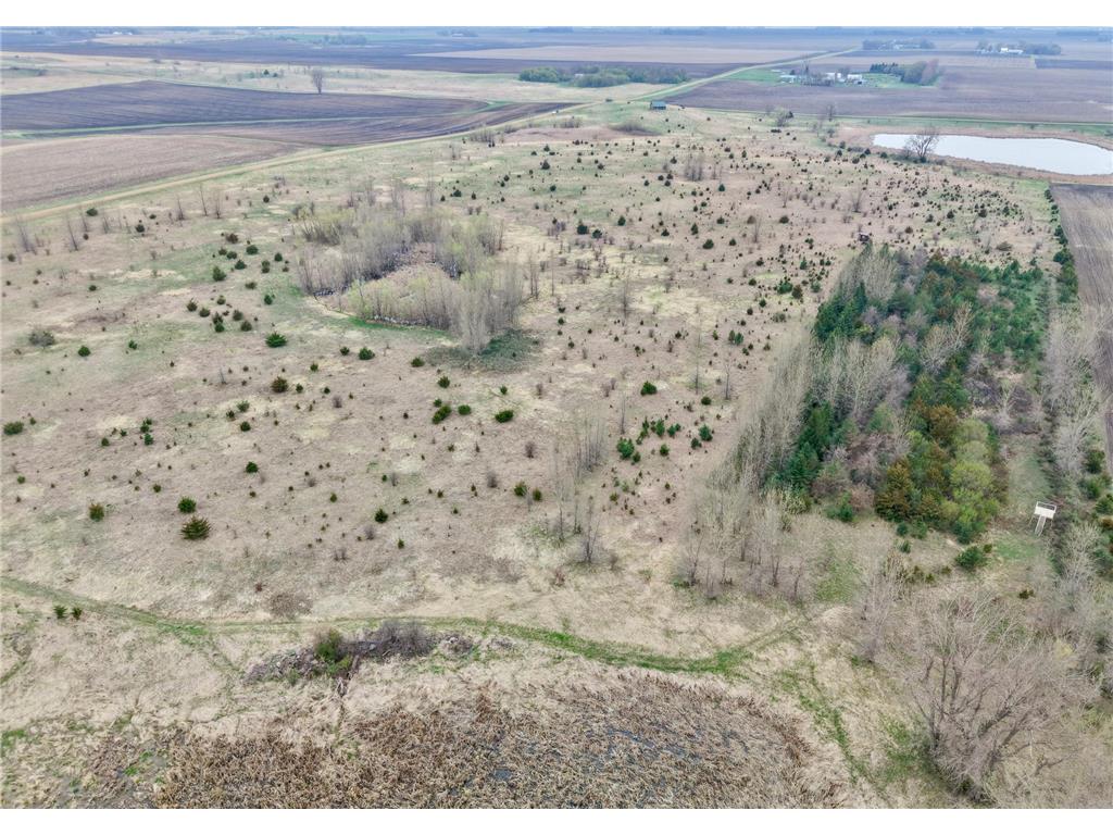 51 County Road Delton Twp MN 56118 7017535 image11