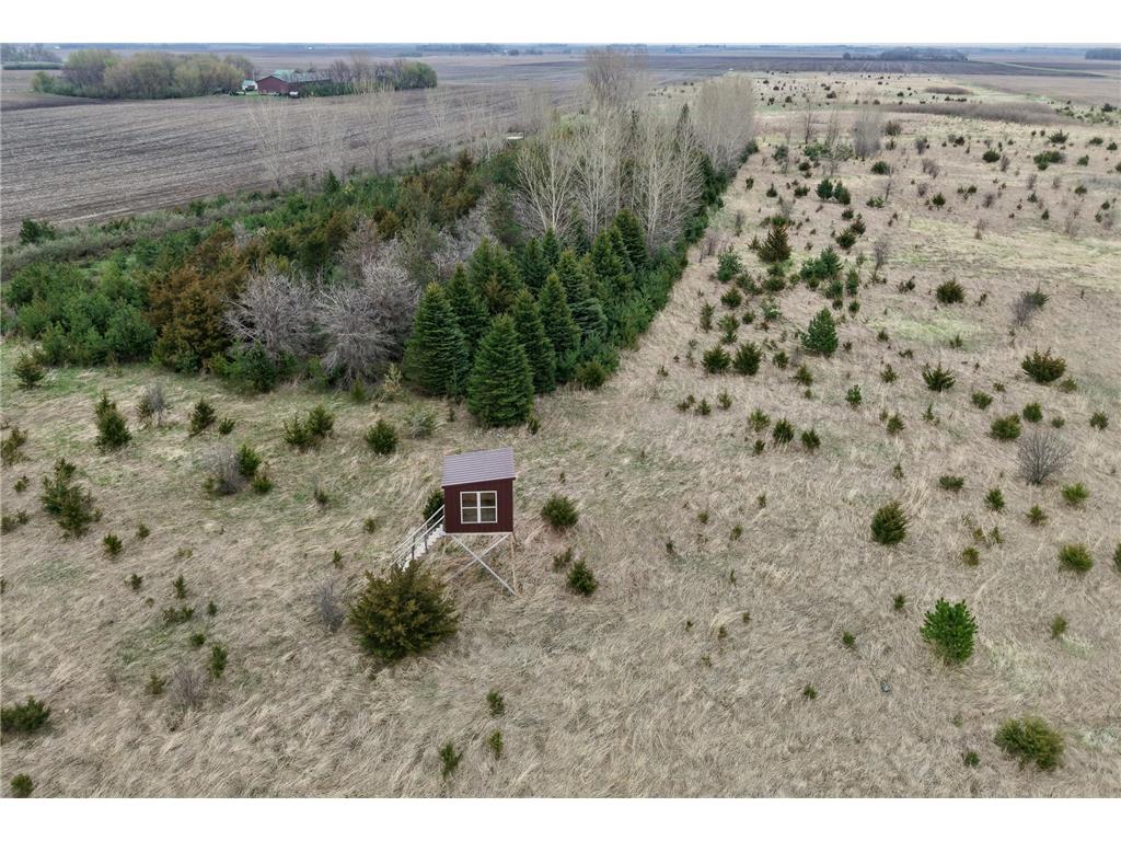 51 County Road Delton Twp MN 56118 7017535 image8