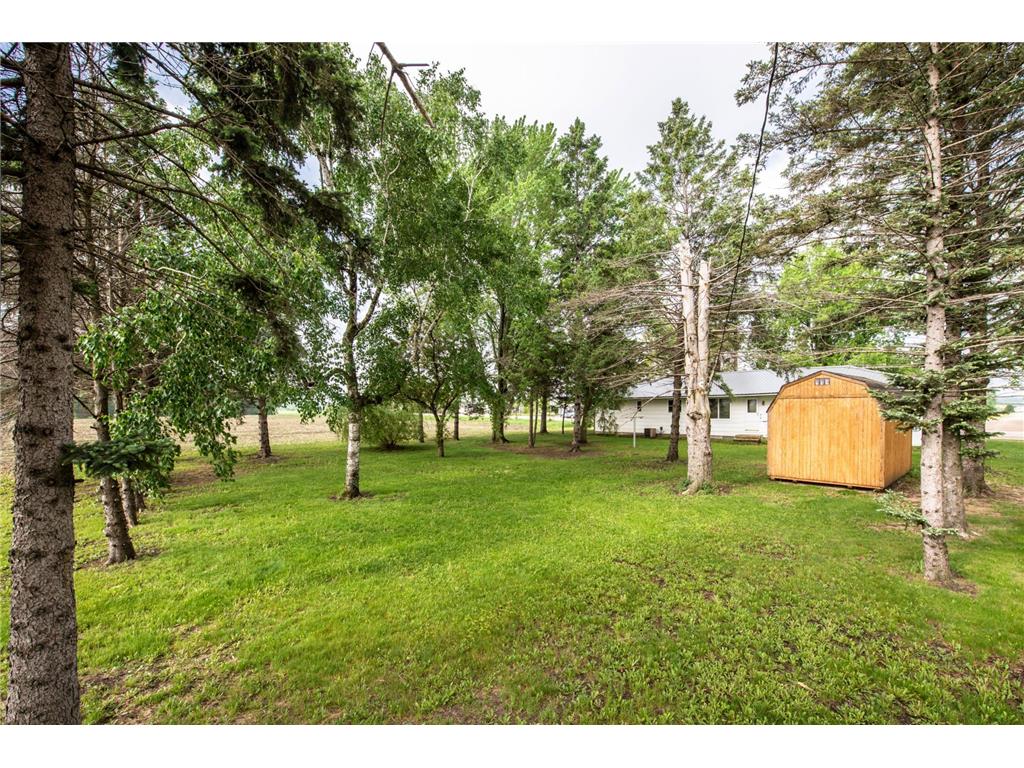 510 Douglas Avenue Carlos MN 56319 7086135 image25