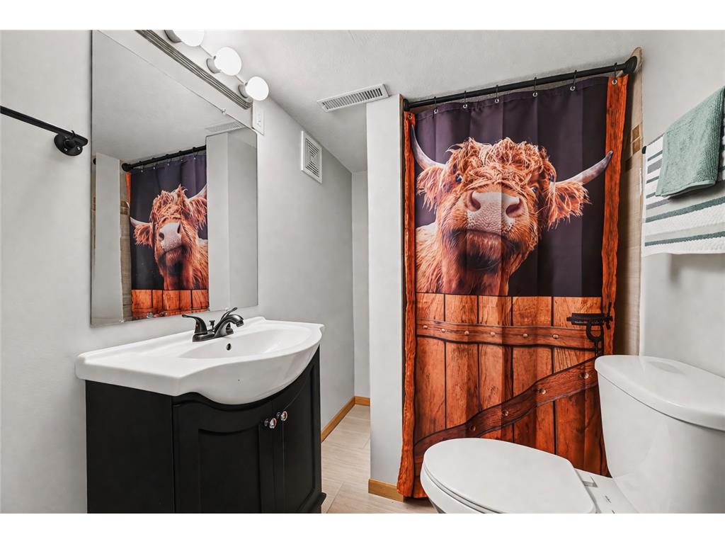 510 N Montgomery Avenue Le Center MN 56057 7049696 image12