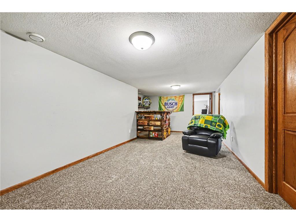 510 N Montgomery Avenue Le Center MN 56057 7049696 image18