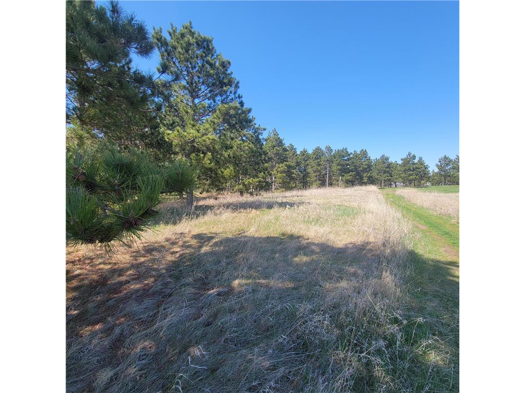 510 Thumper Lodge Road Ottertail MN 56571 6815164 image7