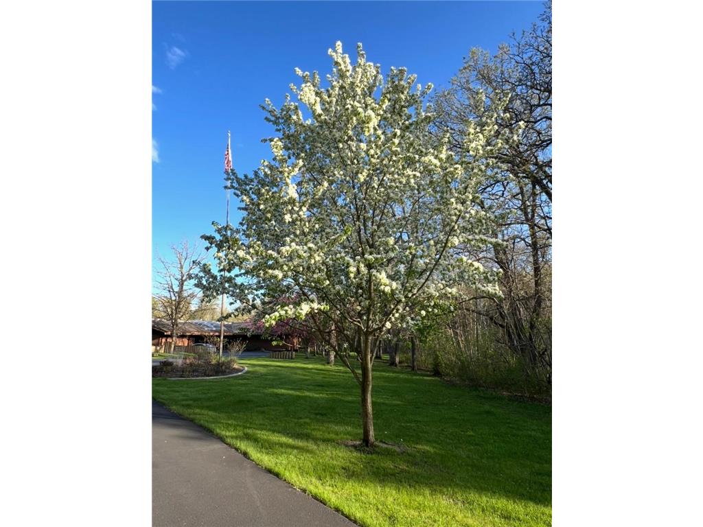 5100 230th Street Saint Augusta MN 56301 6797223 image48