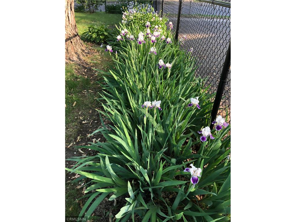 5101 Sheridan Avenue N Minneapolis MN 55430 7082714 image35