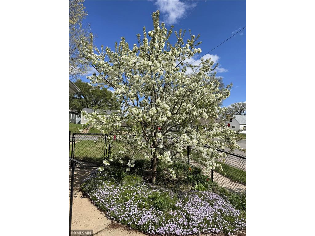 5101 Sheridan Avenue N Minneapolis MN 55430 7082714 image39