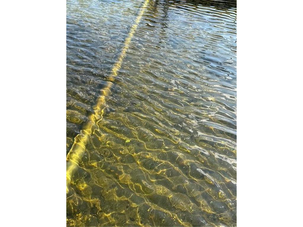 51021 #9 Fish Lake Road #9 Detroit Lakes MN 56501 - Pelican 7027772 image42