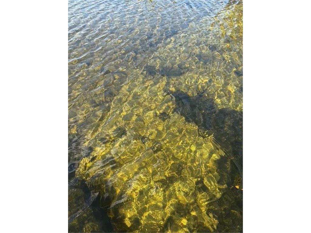 51021 Fish Lake Road #8 Detroit Lakes MN 56501 - Pelican 6780228 image43