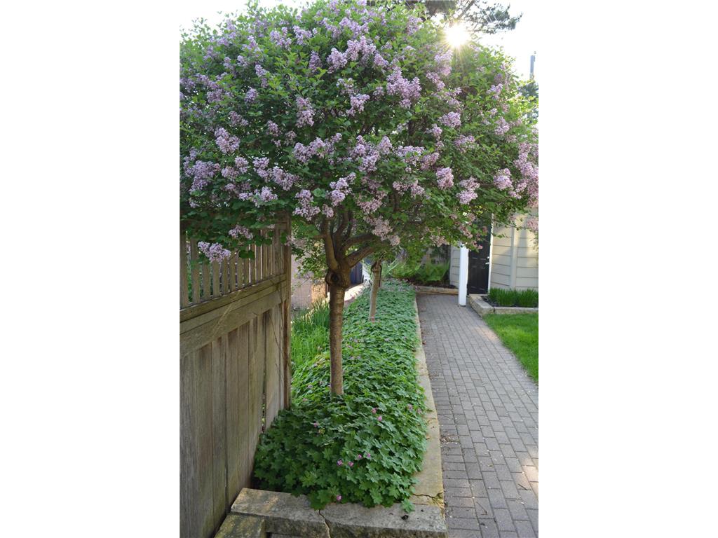 5104 Newton Avenue S Minneapolis MN 55419 - Minnehaha Creek 6819458 image10