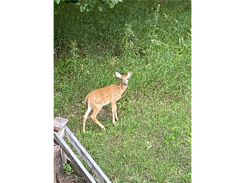 51070 Lake Six Road Hobart Twp MN 56544 6822216 image27