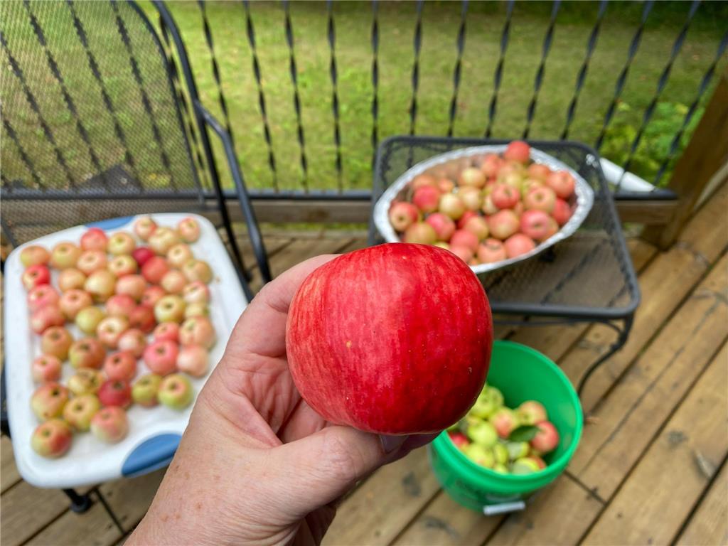 51070 Lake Six Road Hobart Twp MN 56544 6822216 image29